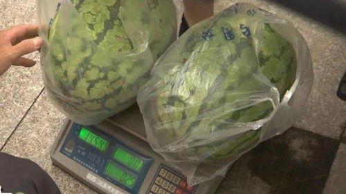 新月吃瓜事情,揭秘娱乐圈背后的真相与争议