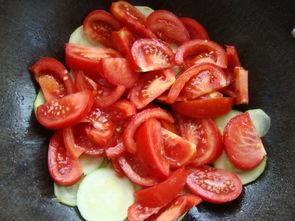 林小瓜吃番茄,林小瓜的番茄美食之旅