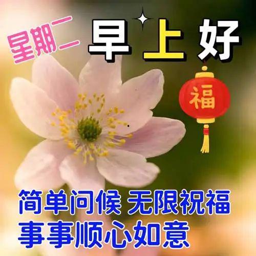 天天吃瓜早安图片大全