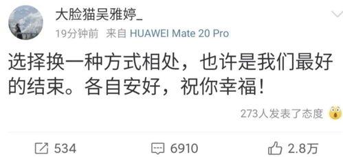 离婚吃瓜文案简短,娱乐圈的甜蜜终结