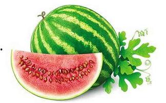 吃瓜吗冬天可以吃西瓜吗