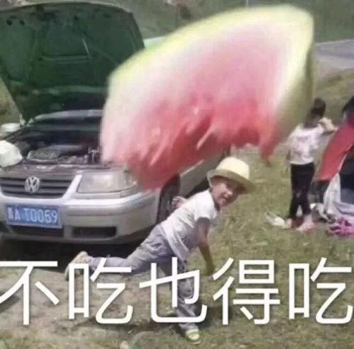 吃瓜小熊人,一场趣味横生的成长之旅