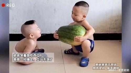 跟弟弟吃瓜