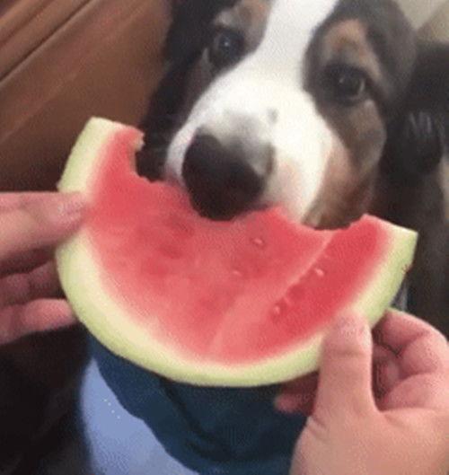 绅士吃瓜交流,轻松解读娱乐圈风云变幻