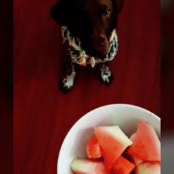 溜达哥吃瓜,揭秘娱乐圈幕后故事